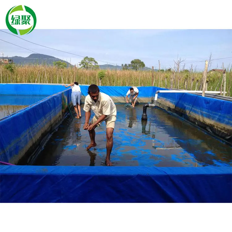 Guangzhou Waterproof Pvc Tarpaulin Cover Customize 600gsm 760gsm Pvc Tarpaulin Fish Pond Tank