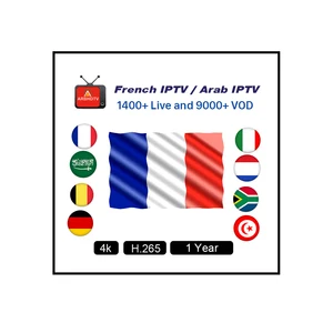 IPTV Subscription Europe Arabic & French Channels