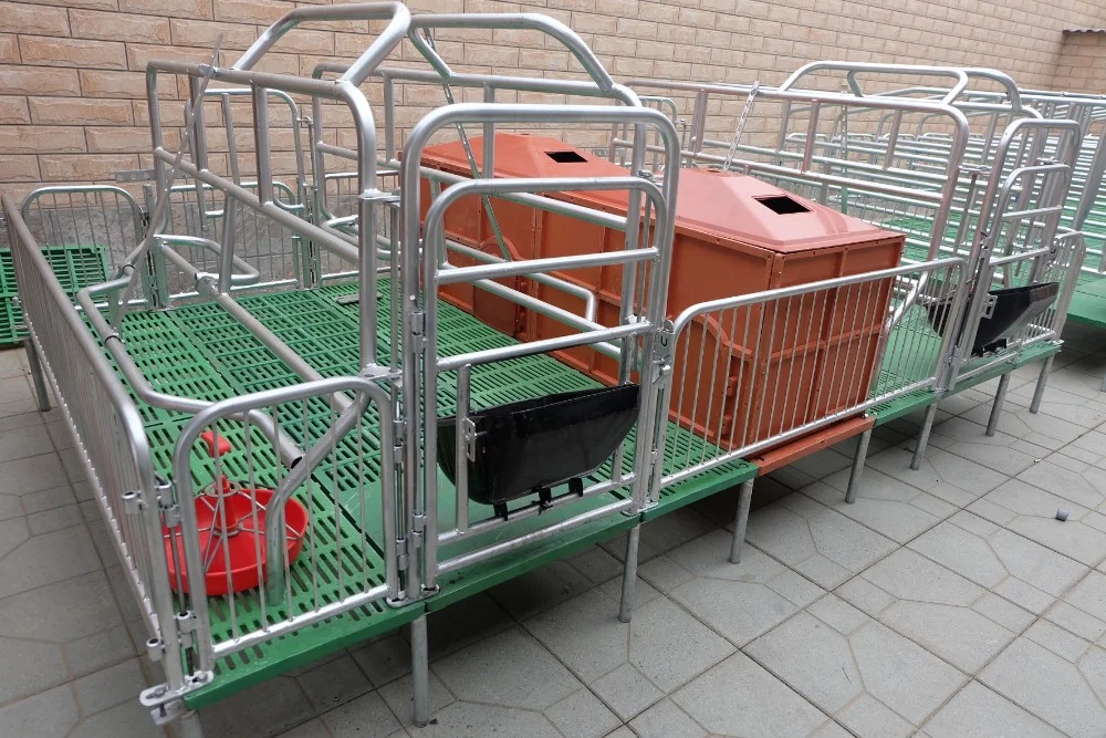 Hot Sale Factory Price Farrowing Crates For Pig Farrowing House Equipment. 