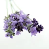 Lavender Fragrances For Air-Freshener