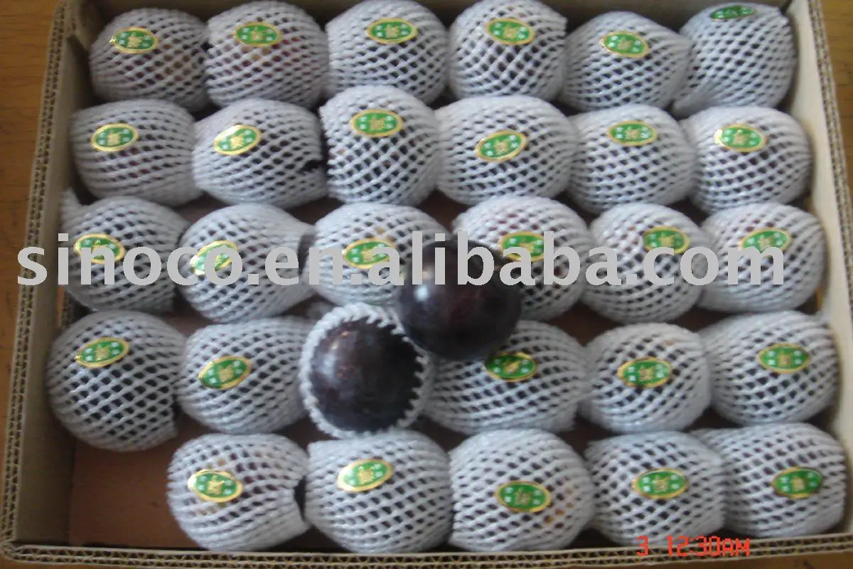 
fresh black plum 