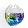 /product-detail/new-products-shopping-home-decoration-pot-wall-hanging-mount-bubble-transparent-aquarium-bowl-fish-tank-aquarium-60493297487.html