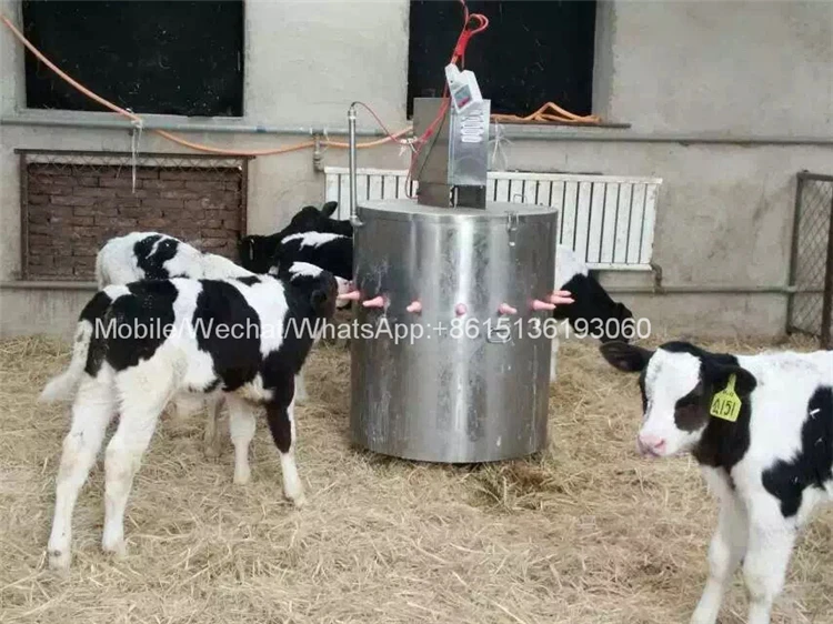 Small Automatic 150liter Calf Feeder Machine Price Buy Calf