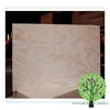 sawn timber/lumber pine/packing pine plywood