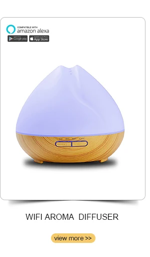 Shenzhen Tyloc Technology Co., Ltd. - Aroma Diffuser Humidifiers ...