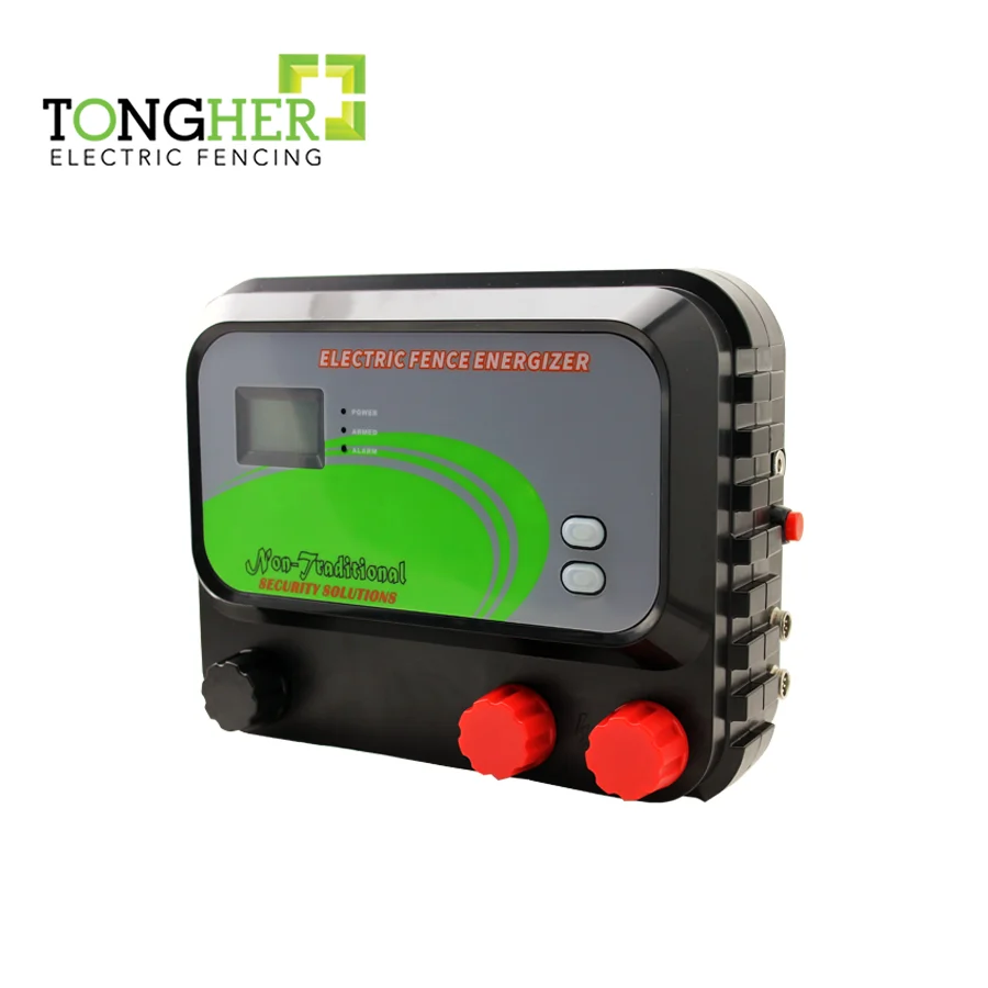 purina kitten dry food