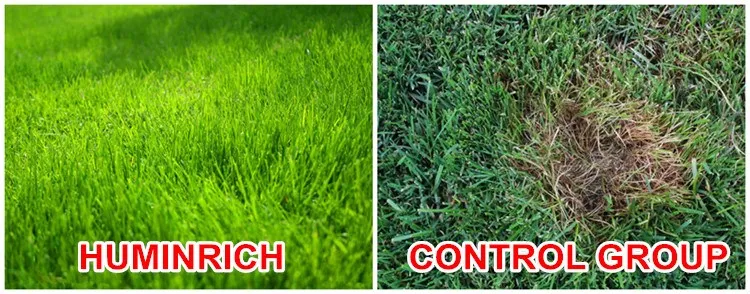 Humic Acid Price.jpg