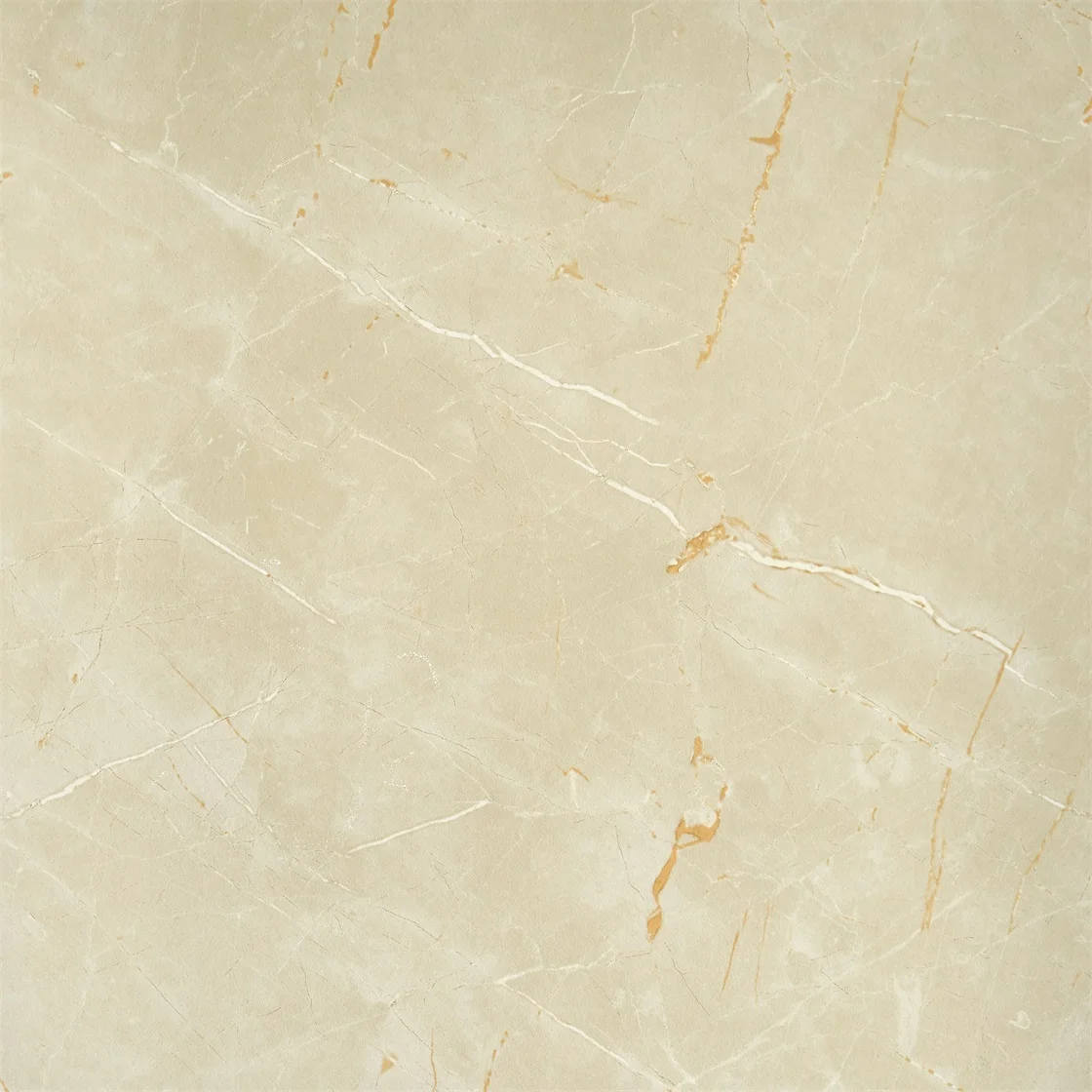 New Model Flooring Tile Pro Floor Tile Foshan