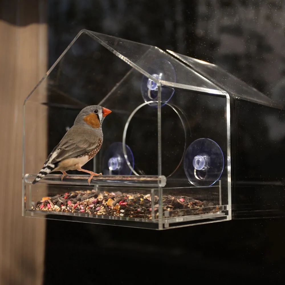 Squirrel Proof Acrylic Window Bird Feeder Buy Squirrel Proof Acrylic