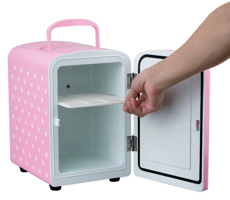 Peltier Cooling 4l Capacity Mini Cooler Refrigerator 12 Volt Buy