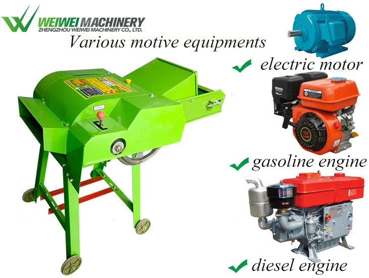 philippine corn silage