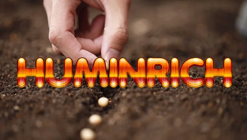 huminrich high active organic fertilizer granules humic acid 50%