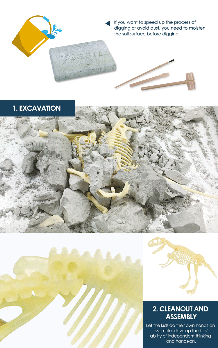 excavation kit dinosaur 3d skeleton