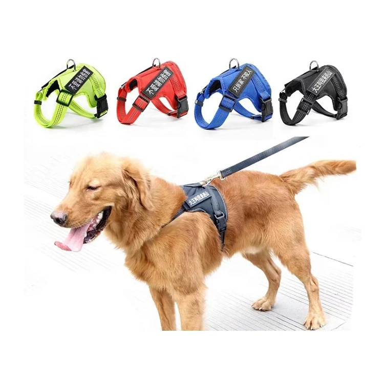 Custom dog harness wholesale Clearance