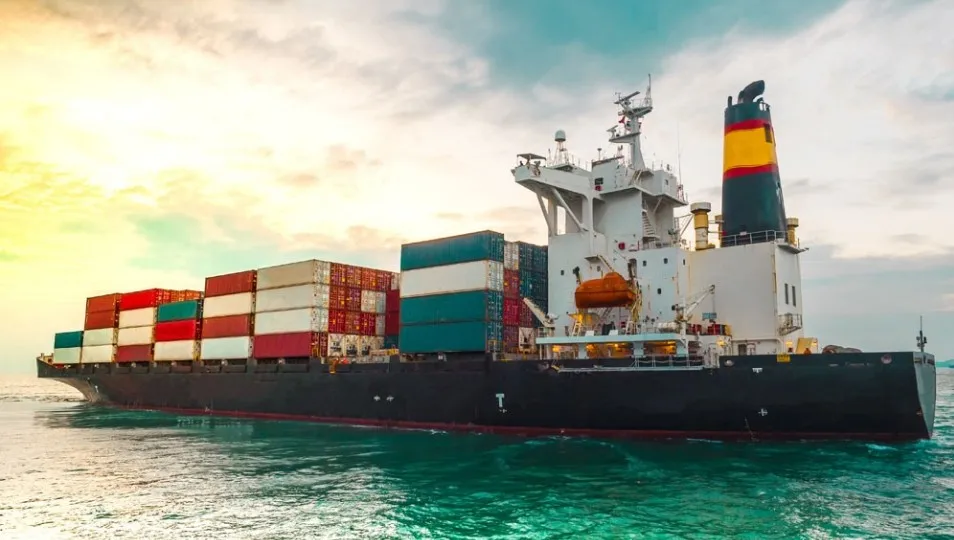 从越南到世界各地的国际海运货运代理门到门服务