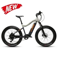 

26 Inch Hidden Battery 750W Electric Mtb Bike For US