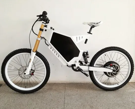 puma ebike motor