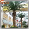 High imitation fiberglass palm tree artificial royal date palm tree large outdoor for decoration