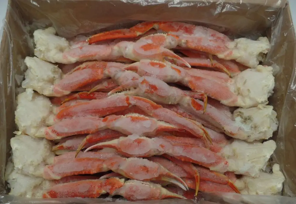
Snow Crab 