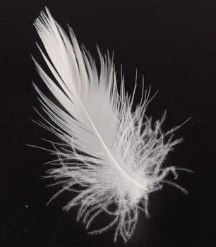China Pillow Filling Material Goose Down Feathers Wholesale Buy
