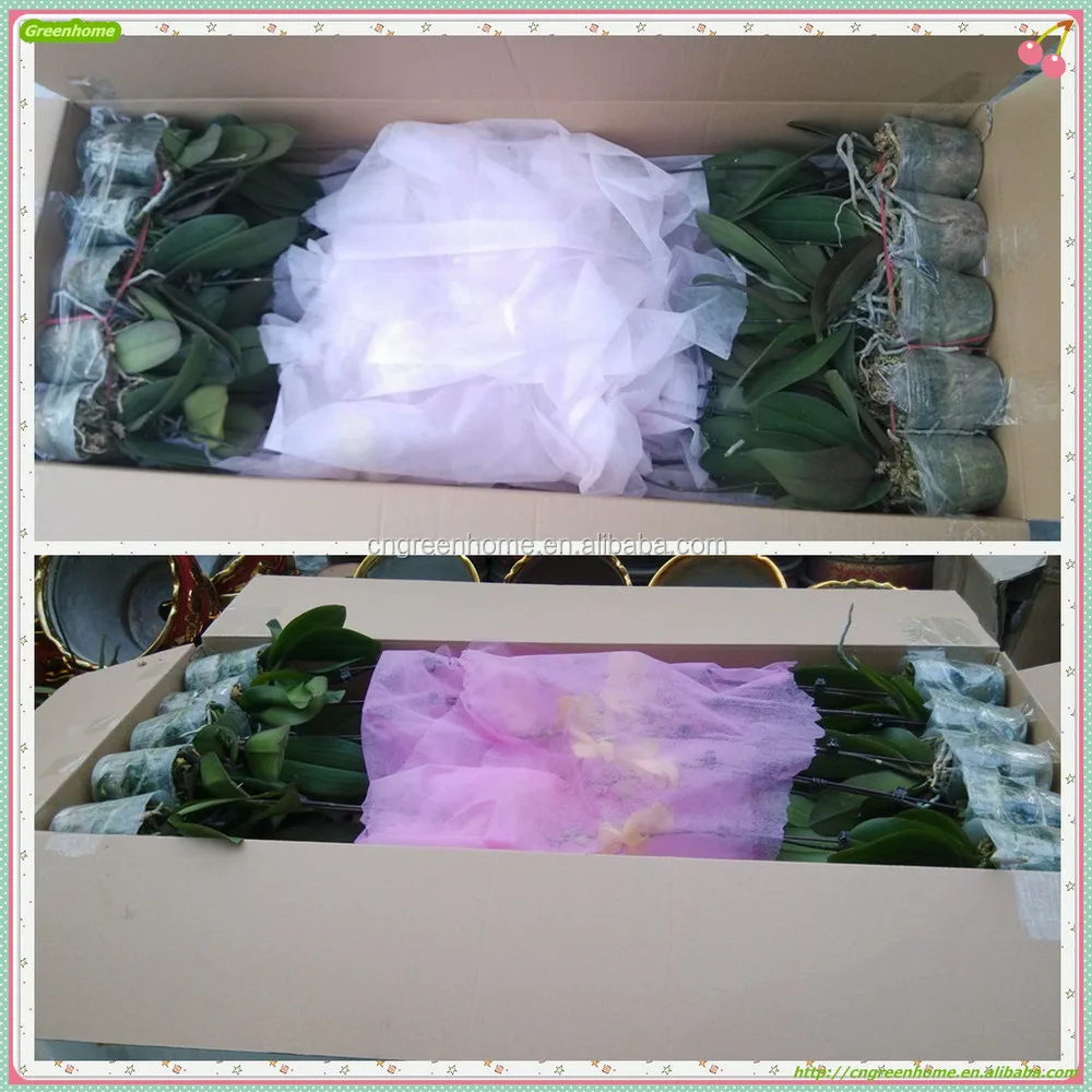 with flower packing.jpg