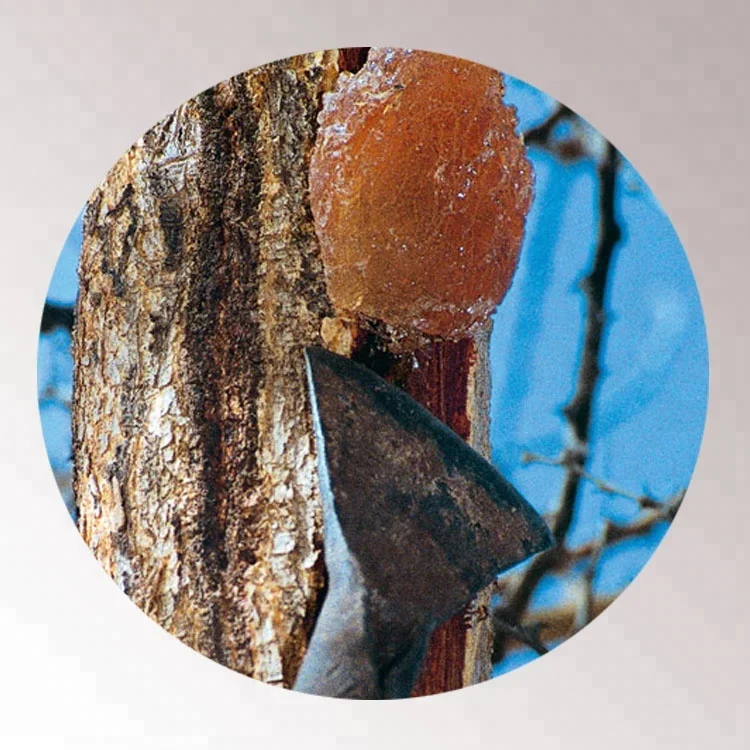 
top quality hashab gum arabic acacia gum from Sudan 