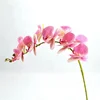Wholesale Artificial Latex Orchid Flowers For Wedding Decoration