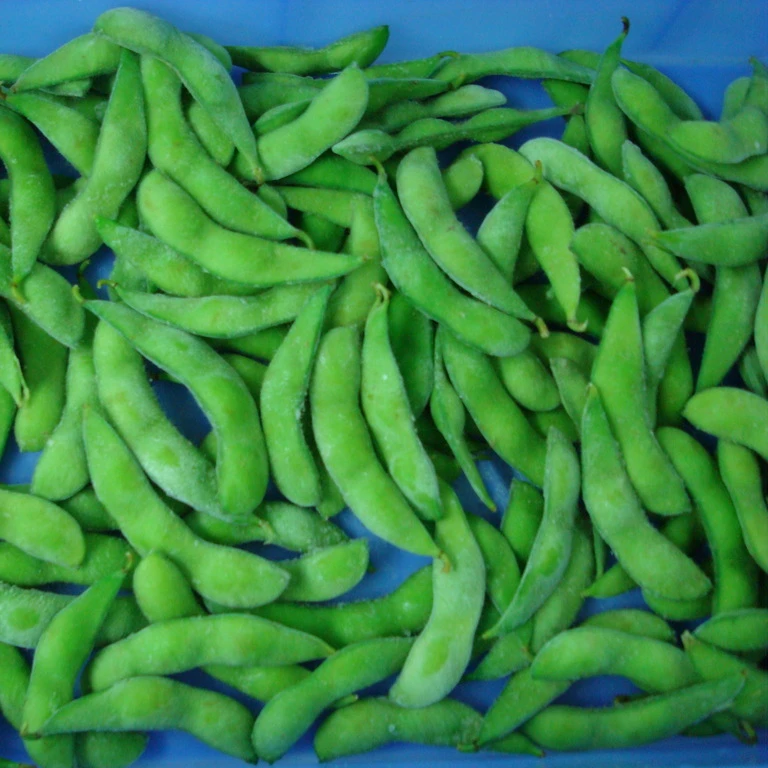 
supply BRC certified new crop IQF frozen edamame beans / soy bean kernels good quality hot sale 