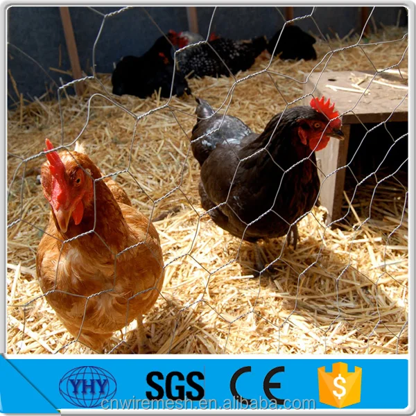 hexagonal chicken wire netting 25mx0.9m rolls for europe market