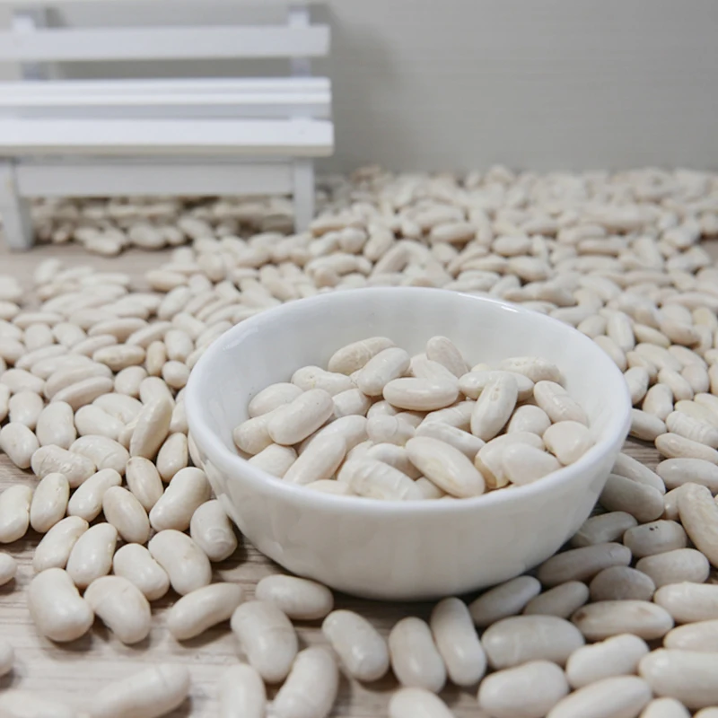 White kidney bean excellent Chinese white bean exporter