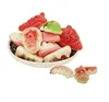 Halloween candy gummy nose skeleton /eyeball/finger body parts gummies