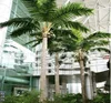 2019 good price artificial outdoor palm tree 3m coconut palm tree