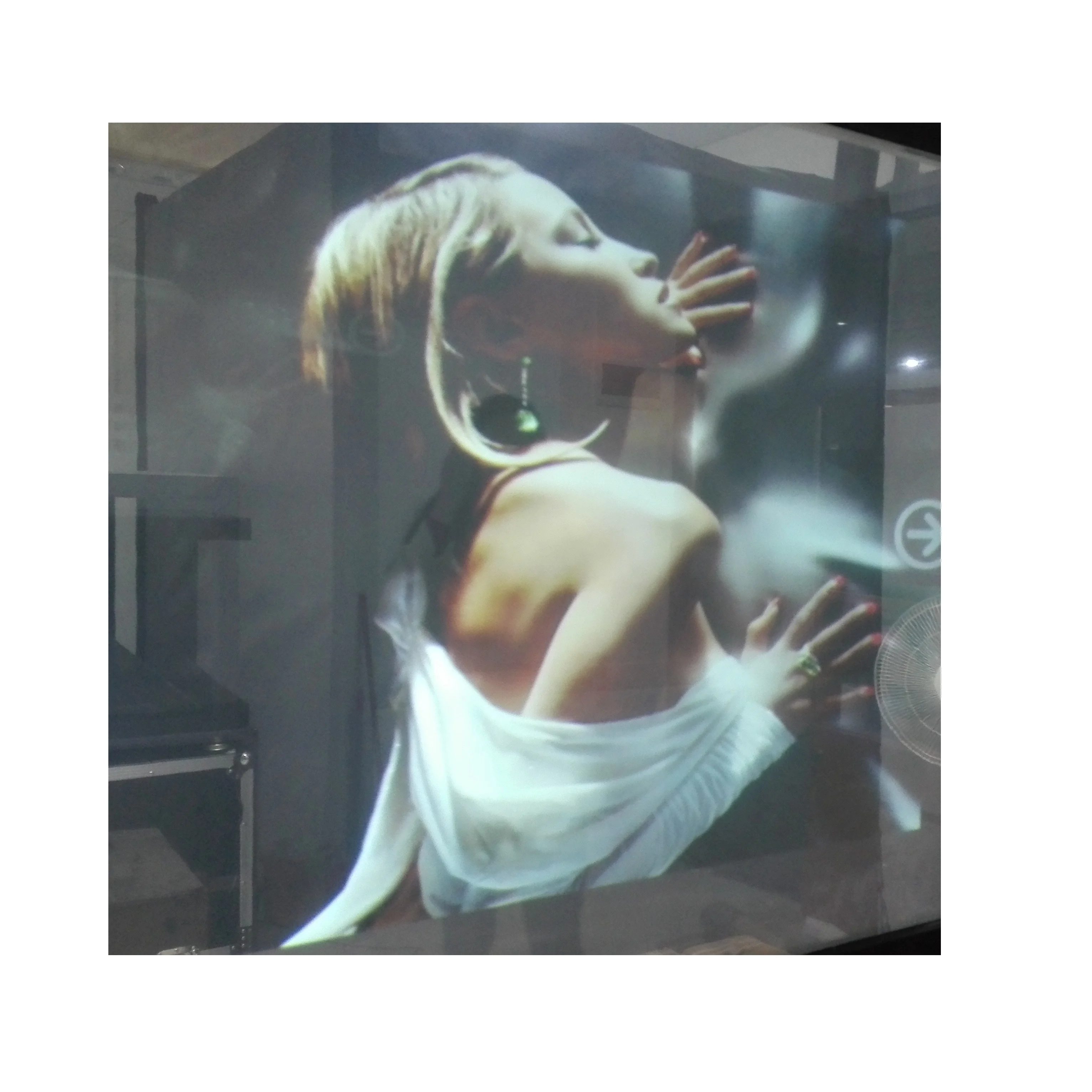 

Self Adhesive Holographic Film 3D Hologram Projection Glass Film