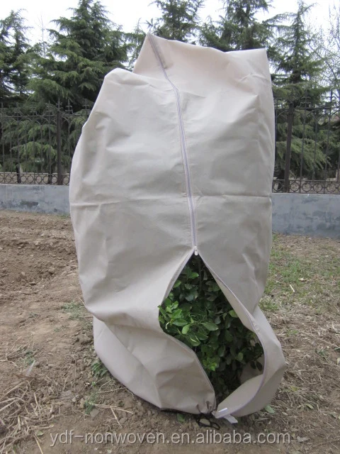 PP non-woven plant cover.jpg