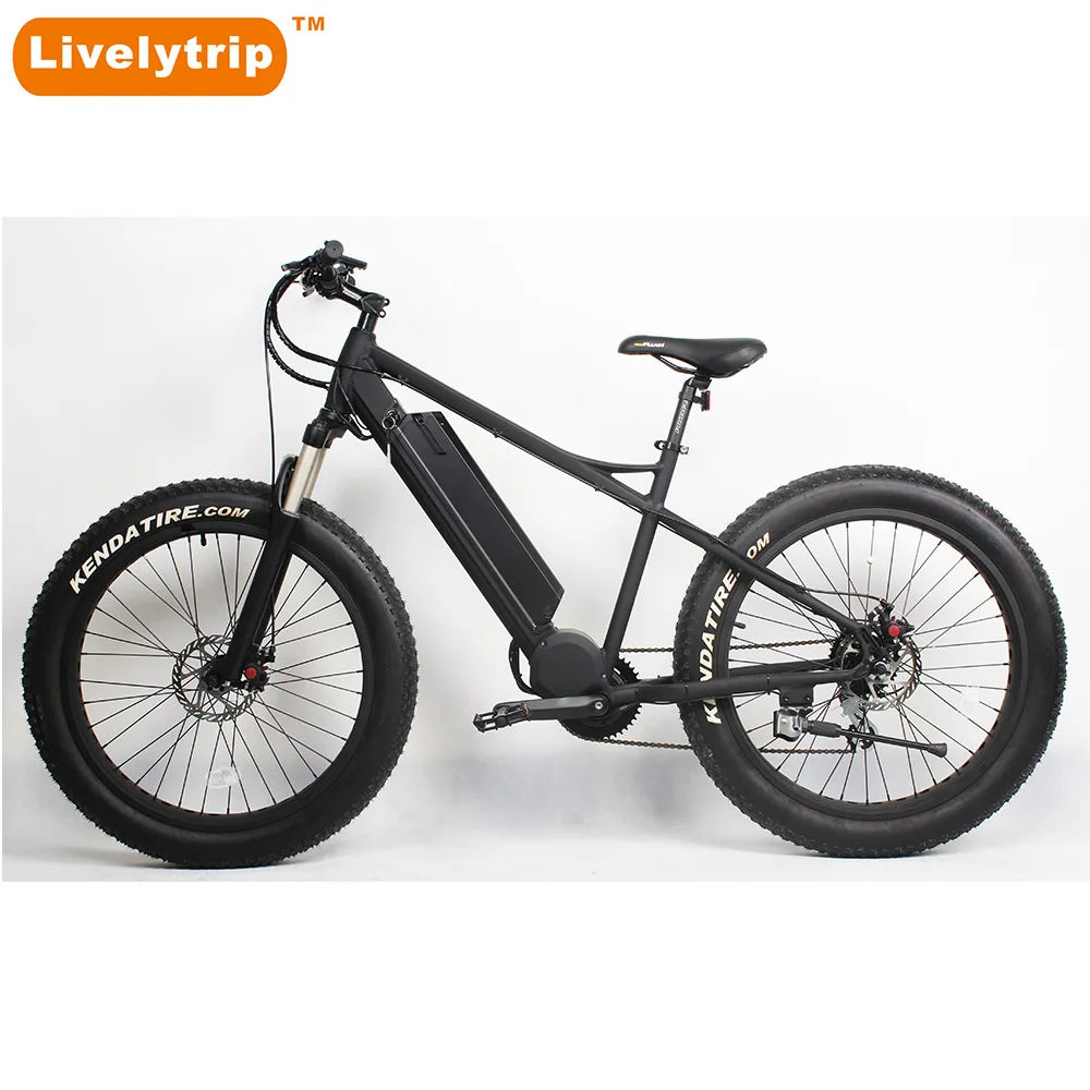 electric bike suspension fork