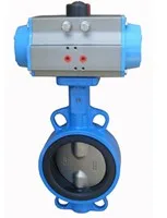 butterfly valve