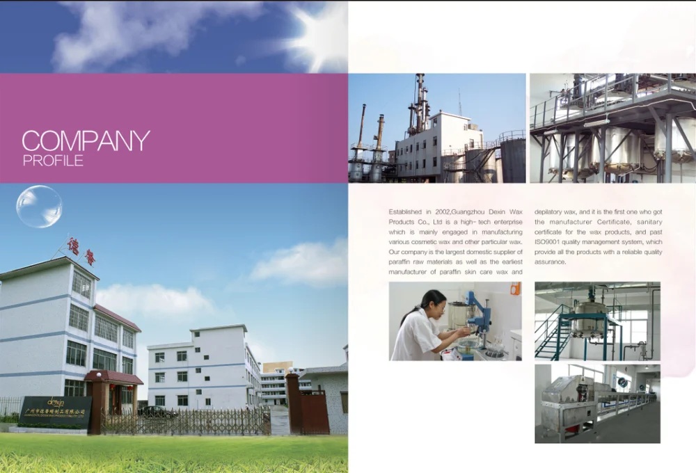 factory introduction