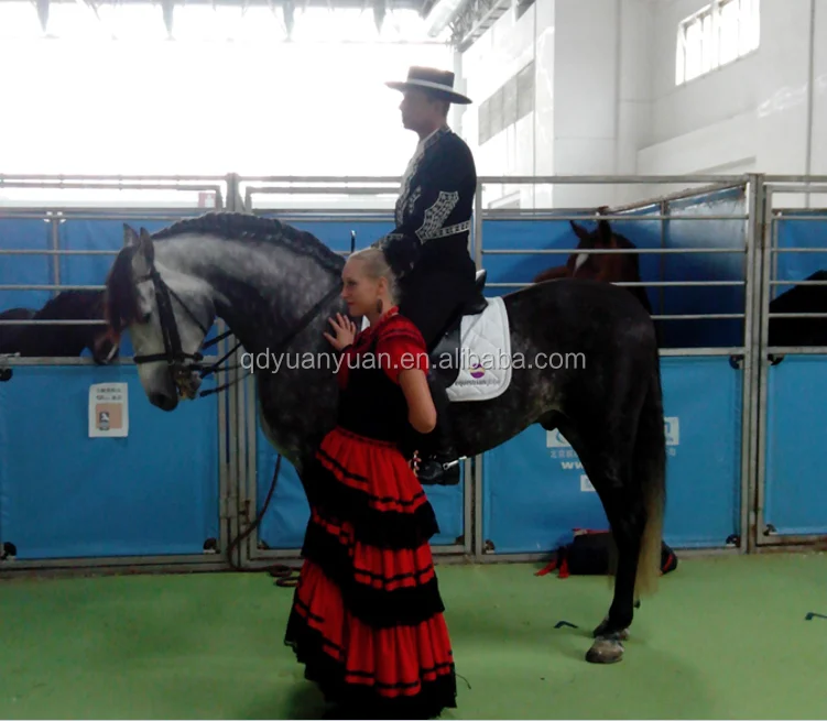 Qingdao Equestrian Manufacturer Direct Selling Who Buy Horseshoes In