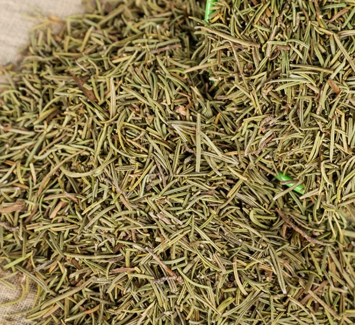 rosemary4.JPG
