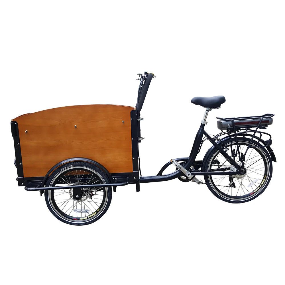

Immediate Delivery Family Use Touring Commuting Three Wheel 500w Electric Assited Dutch Cargo Bike