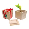 Yiwu Valentine Desktop Gift Magic Message Bean Plants With Custom Logo Words In Wooden Box Pot