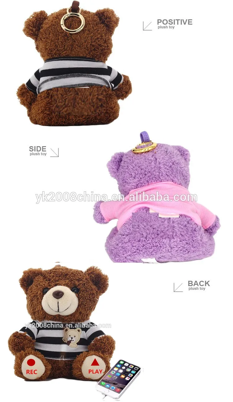 recordable teddy