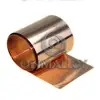 /product-detail/beryllium-copper-strip-c17200-60817865381.html