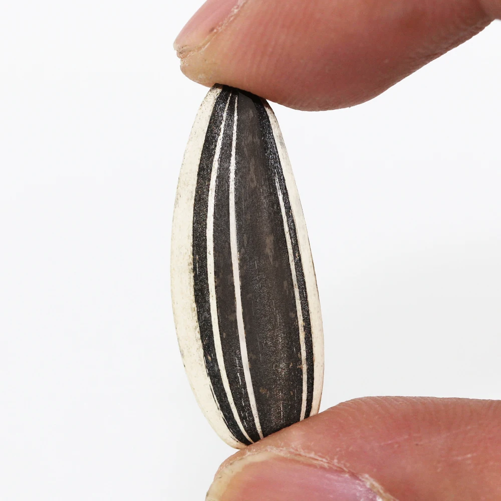 
export egypt long type black sunflower seeds from Inner Mongolia China 