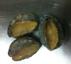 frozen abalone price for sale