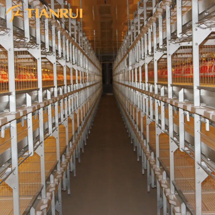 Factory Supply Poultry Broiler House Design Broiler Chickens For Sale
