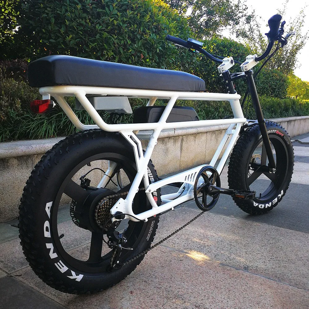 Newest 48v 500w Power 20inch Two People Fat Tire Electric Bike With