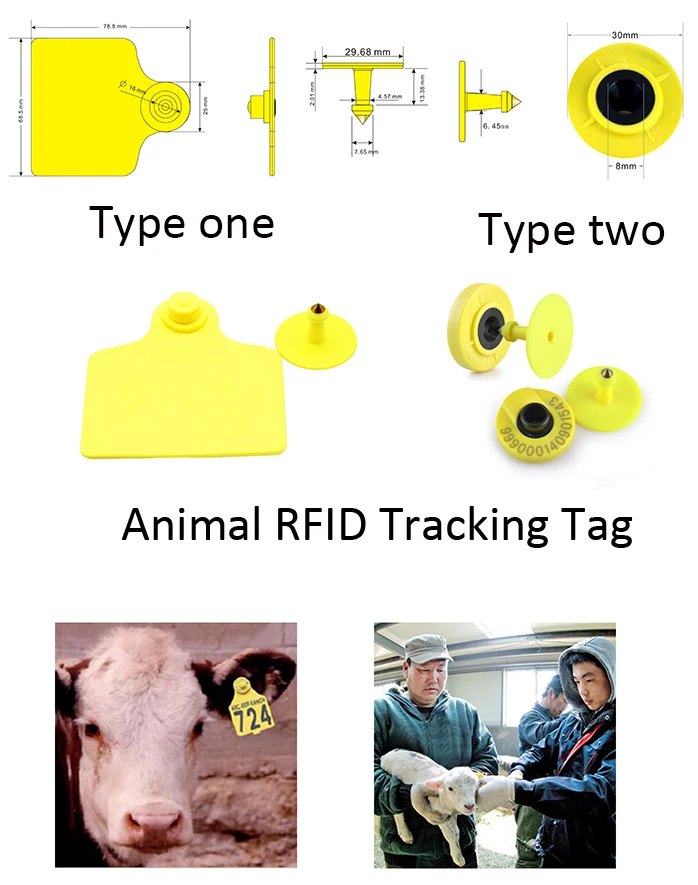 Rfid Uhf Rfid Animal Tracking Cattle Goat Sheep Ear Tags Buy Cattle