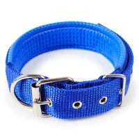 

classic pet dog accessories blue nylon webbing dog collar for outside lead dog