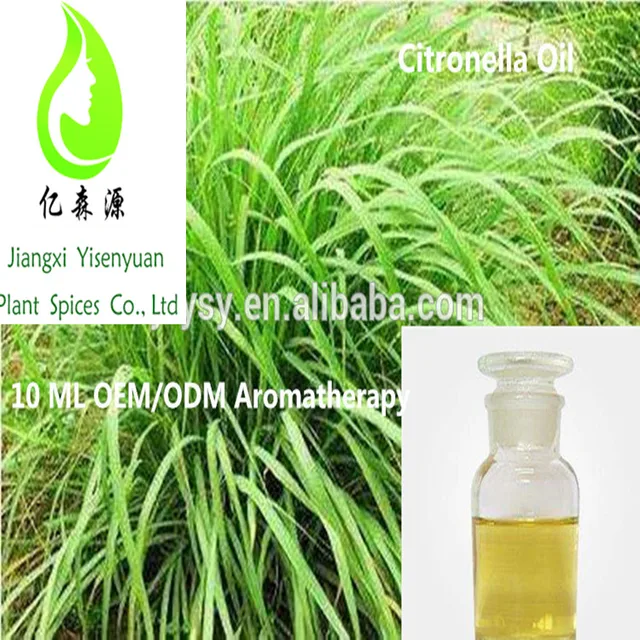 citronella oil sale